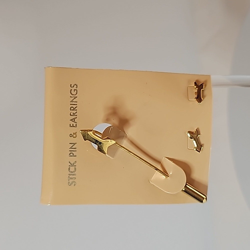 Arrow Earrings and Stick Pin Set NIP